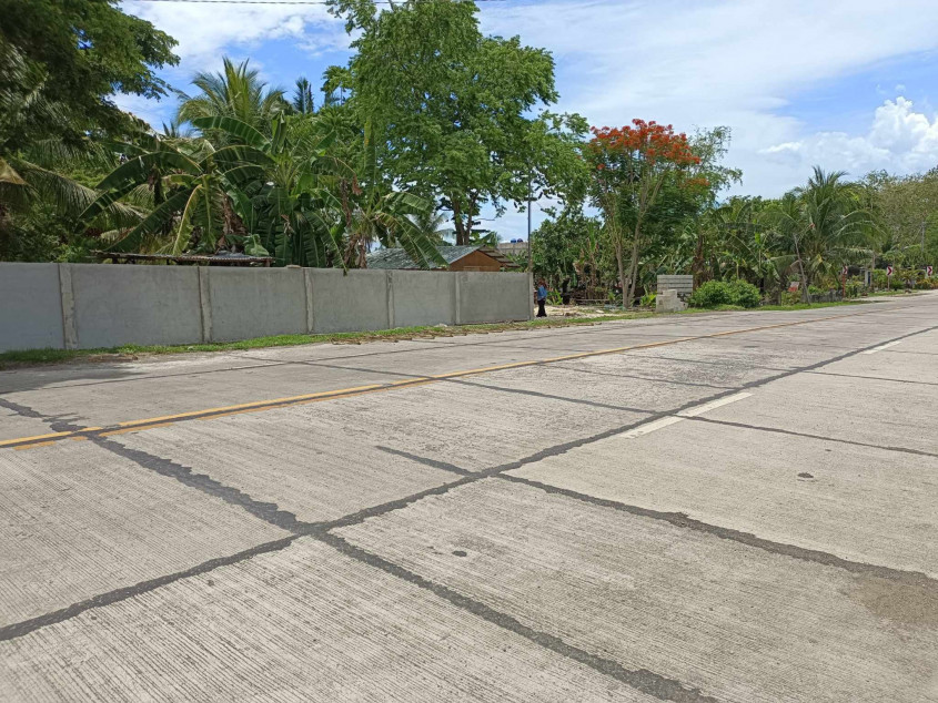 Beach Lot For Sale San Remigio Cebu