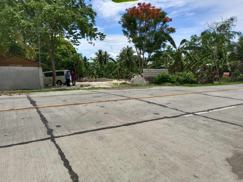 Beach Lot For Sale San Remigio Cebu
