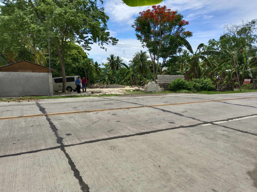 Beach Lot For Sale San Remigio Cebu