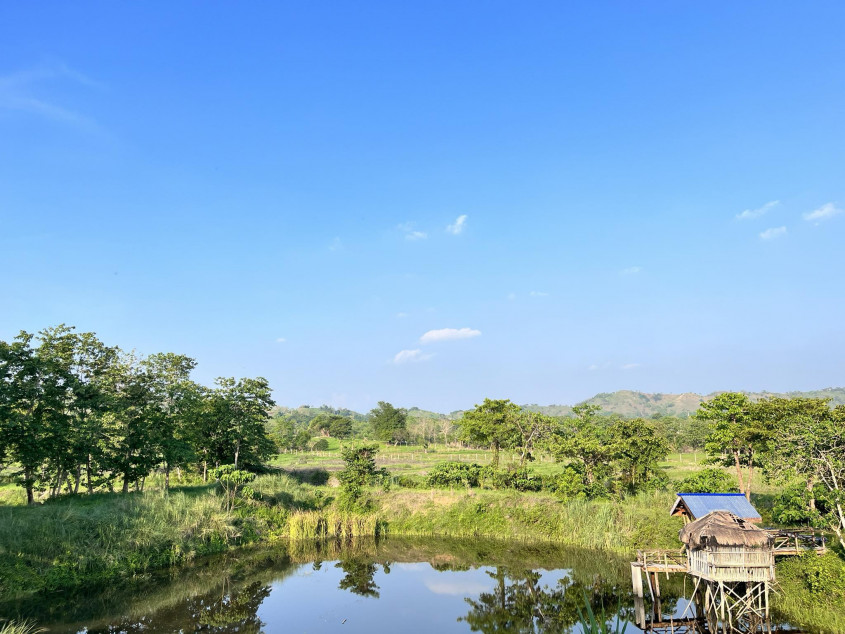 14 Hectares Farm Land In Palayan City, Nueva Ecija