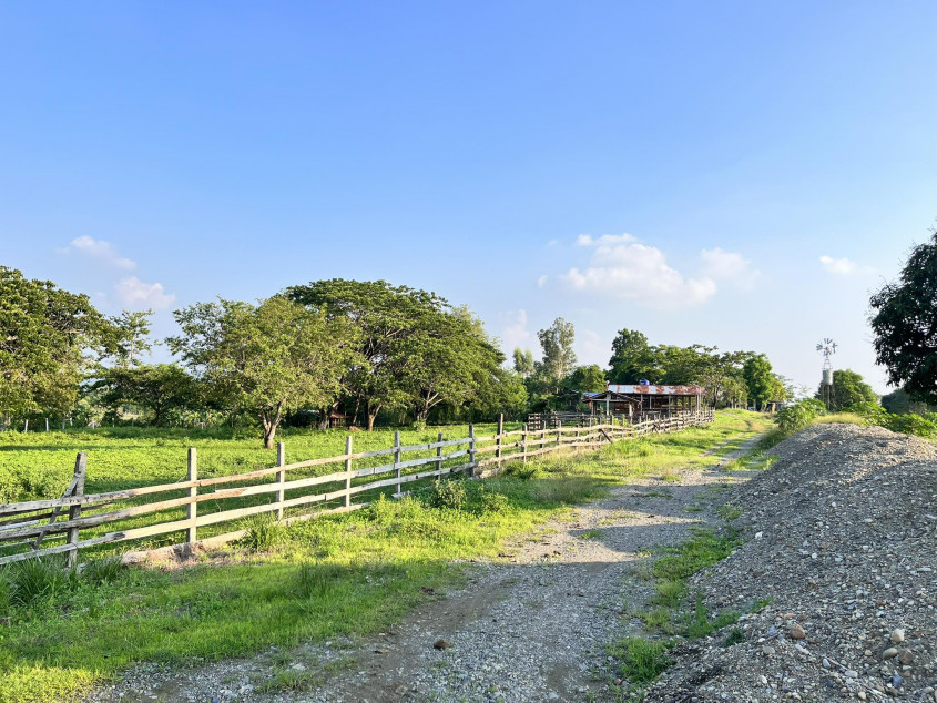 14 Hectares Farm Land In Palayan City, Nueva Ecija