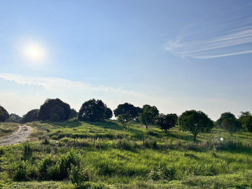 14 Hectares Farm Land In Palayan City, Nueva Ecija