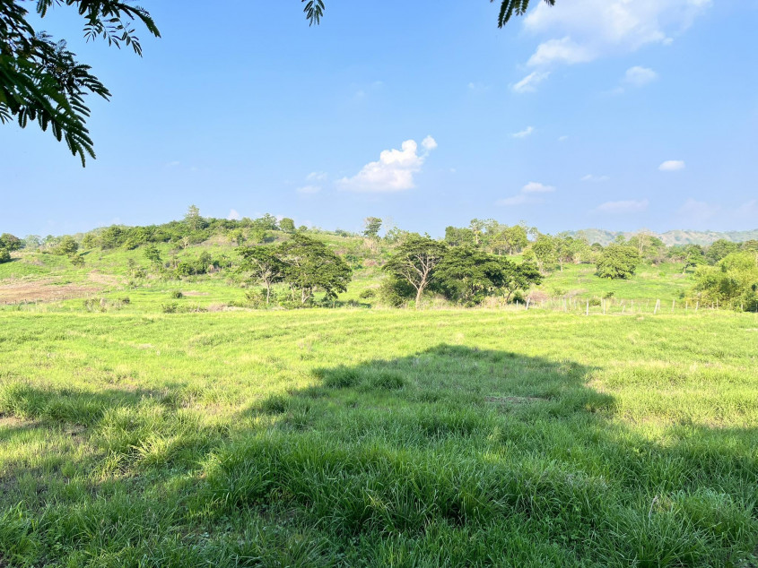 14 Hectares Farm Land In Palayan City, Nueva Ecija