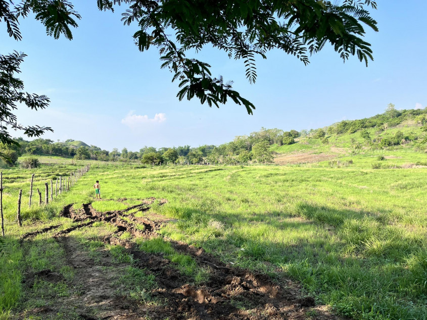 14 Hectares Farm Land In Palayan City, Nueva Ecija