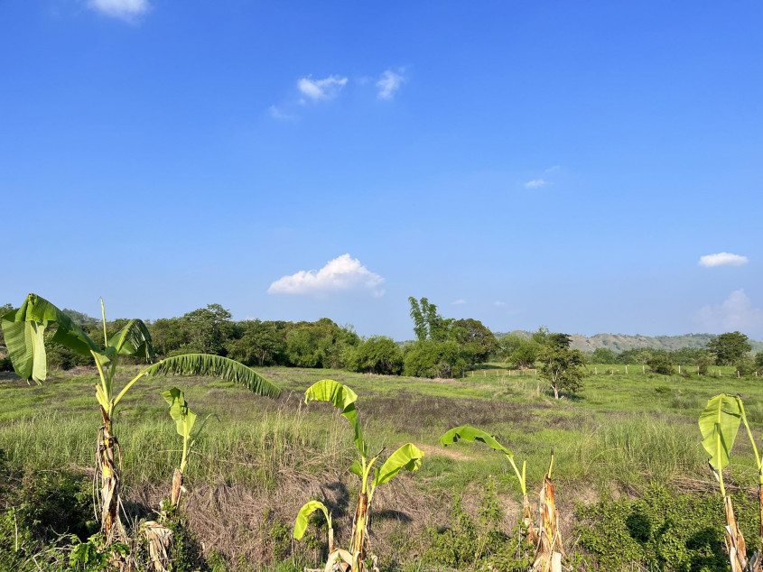 14 Hectares Farm Land In Palayan City, Nueva Ecija