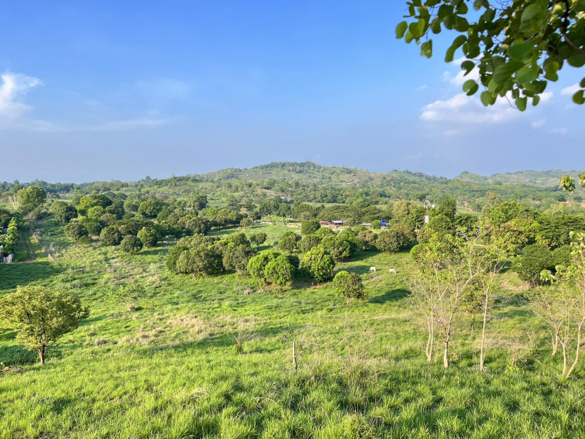 14 Hectares Farm Land In Palayan City, Nueva Ecija