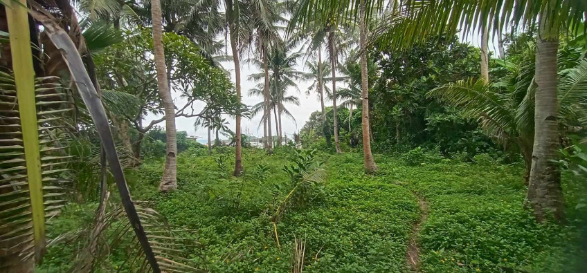 Beach Land In Nabas, Aklan (Overlooking Of Boracay Island)
