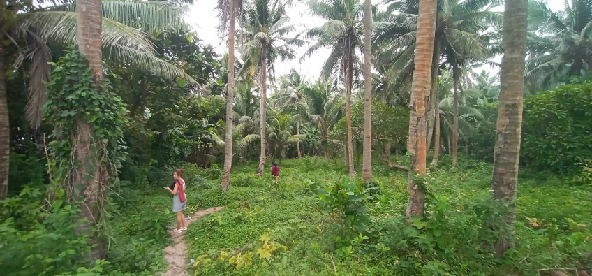 Beach Land In Nabas, Aklan (Overlooking Of Boracay Island)