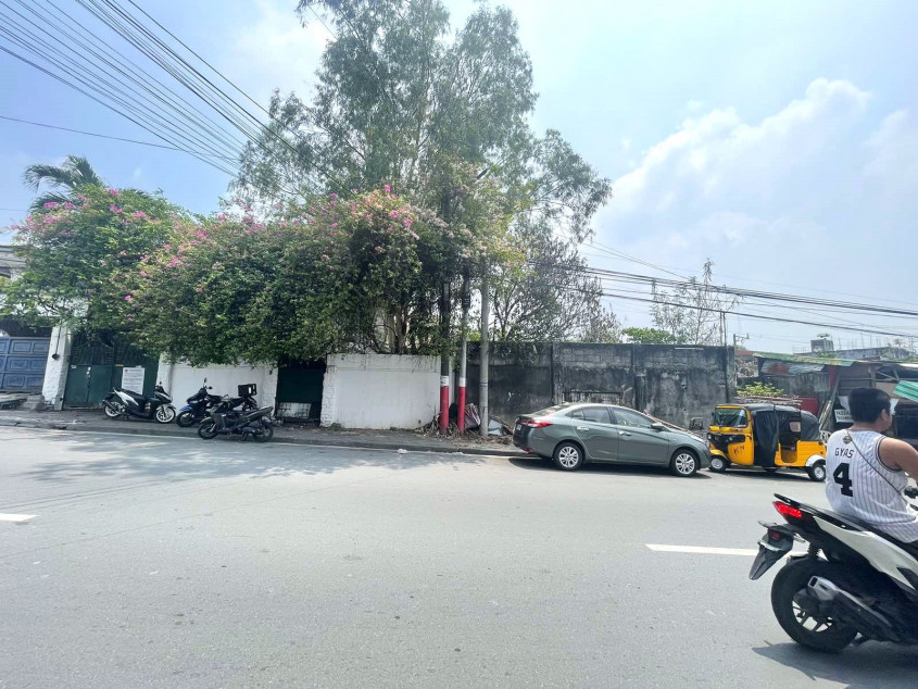 Lot For Sale in Mindanao Ave Taguig City 335 SQM Main Road Clean Title