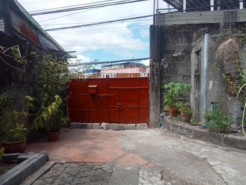 Lot For Sale in Mindanao Ave Taguig City 335 SQM Main Road Clean Title