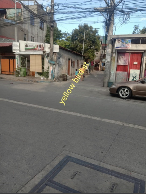 Lot For Sale in Rizal Makati City (Taguig City)