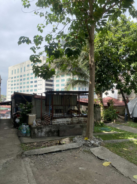 Clean Title Two Residential / Commercial Lot FOR SALE at Kalayaan Avenue Taguig