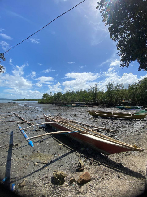 For Sale Farm Lot In Gumaca, Quezon