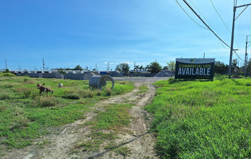Commercial Lot In Cabuyao, Laguna For Sale