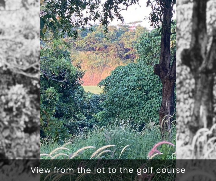 Golf Course Property Lot For Sale In Morong, Bataan