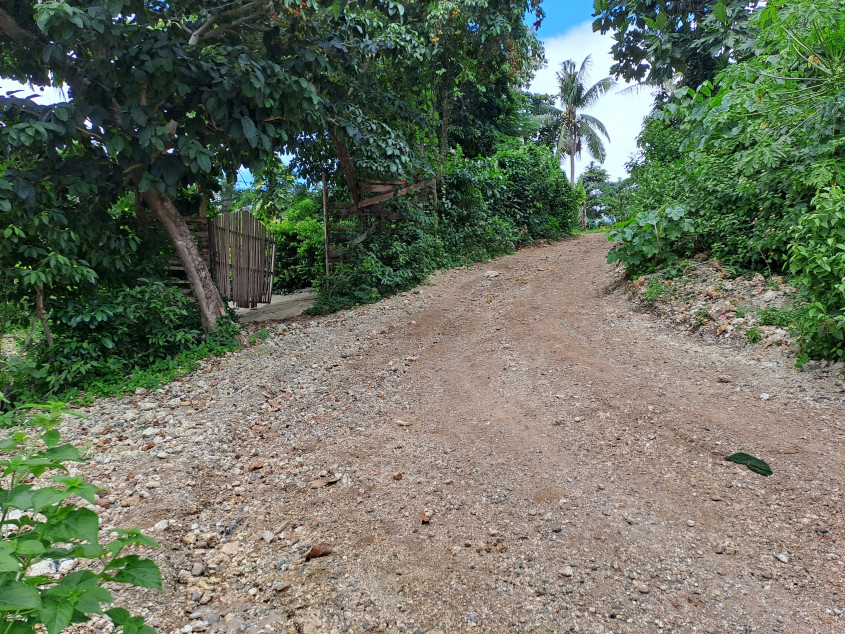 Boracay Lot for Sale