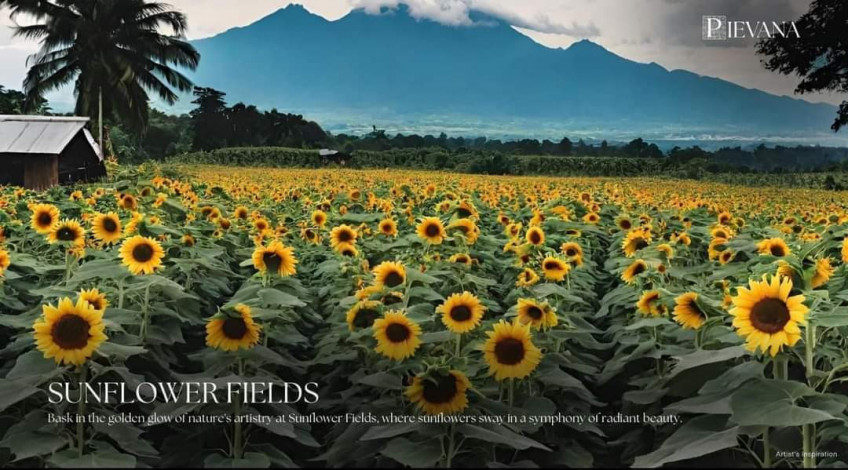 Luxury Farm lots in Pievana, Batangas