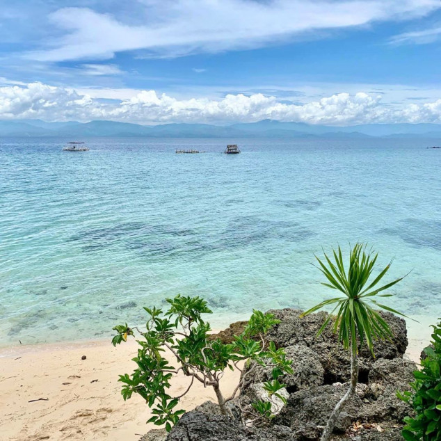 Beachfront Property for Sale - Moalboal, Cebu