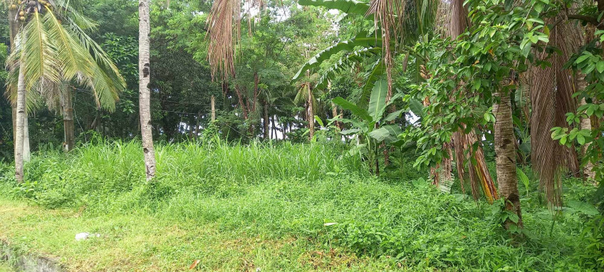 Commercial Lot For Sale In Ormoc City