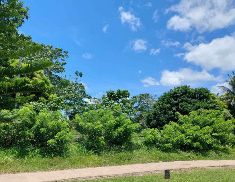 Commercial Lot For Sale In Ormoc City