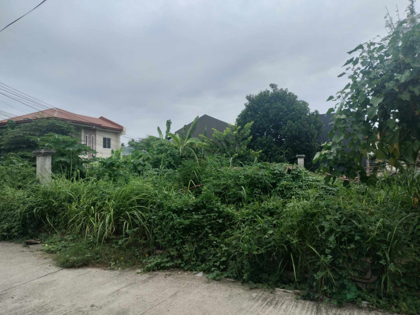 207SQM Resindential Corner Lot Phebz Subdivision Liloan