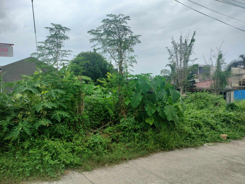 207SQM Resindential Corner Lot Phebz Subdivision Liloan
