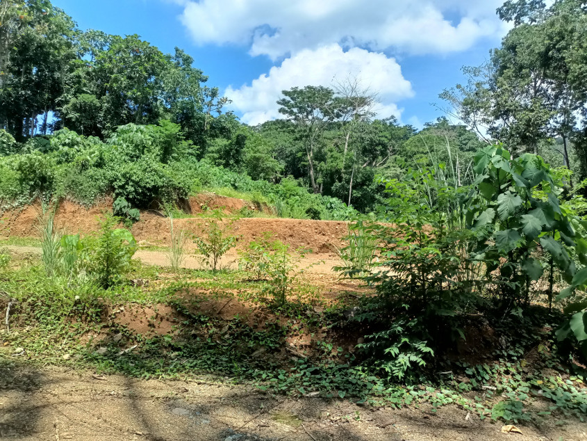 Epic Mountain Estate In Tanay, Rizal
