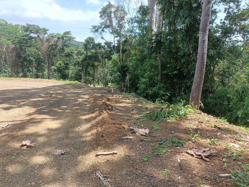 Epic Mountain Estate In Tanay, Rizal