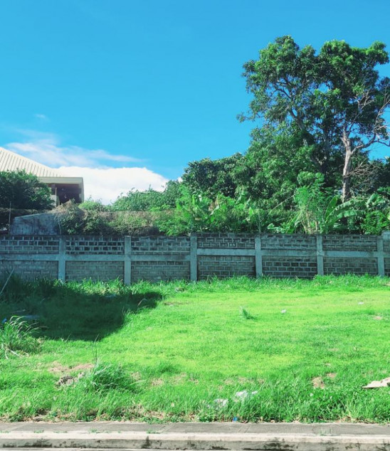 ALABANG WEST LOT FOR SALE