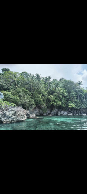 Urgent Beach Lot For Sale In Buruanga, Aklan