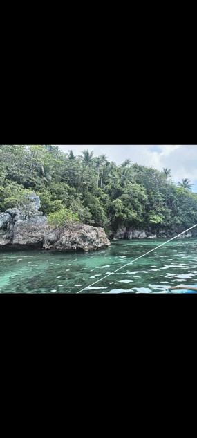 Urgent Beach Lot For Sale In Buruanga, Aklan