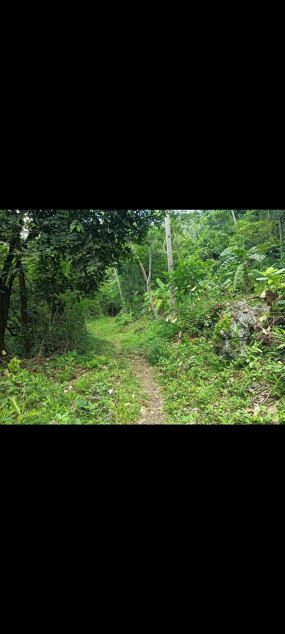 Urgent Beach Lot For Sale In Buruanga, Aklan