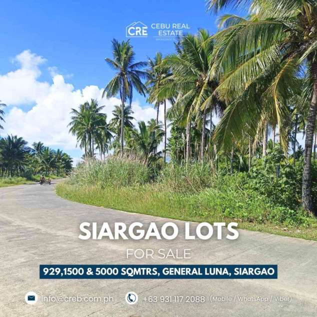 Siargao Lot Properties for Sale  - General Luna, Siargao