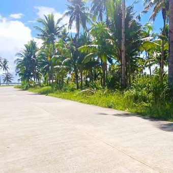 Siargao Lot Properties for Sale  - General Luna, Siargao