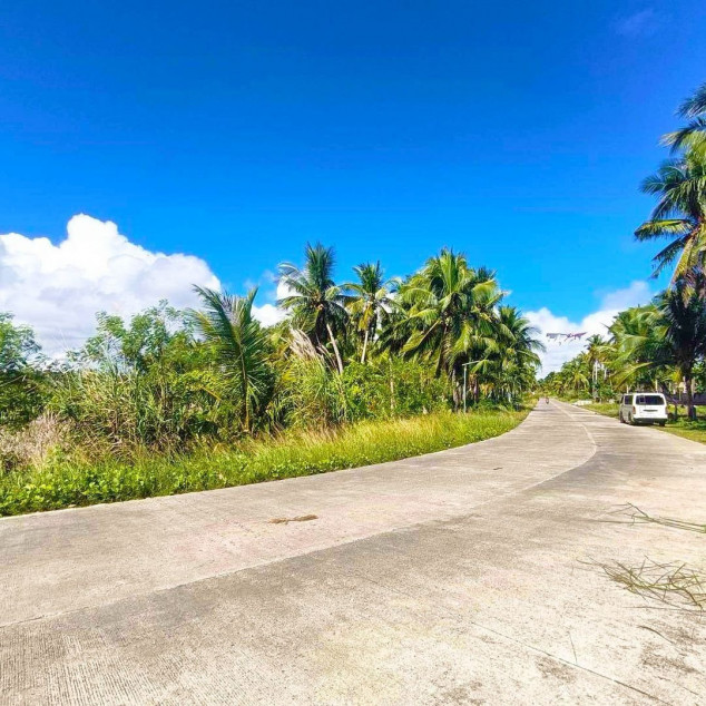Siargao Lot Properties for Sale  - General Luna, Siargao