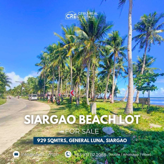 Beach Lot for Sale - General Luna, Siargao