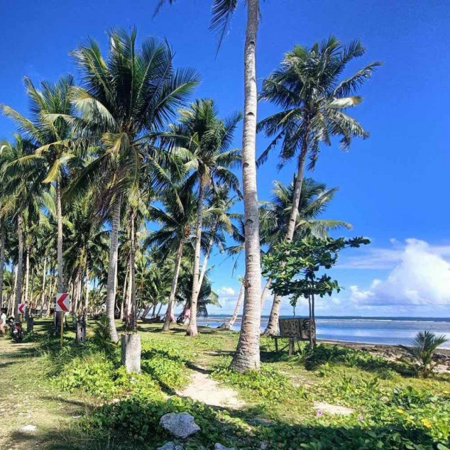 Beach Lot for Sale - General Luna, Siargao