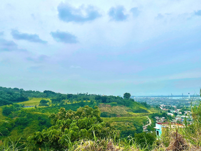 15.1M Vista Grande Single Detached House in Talisay