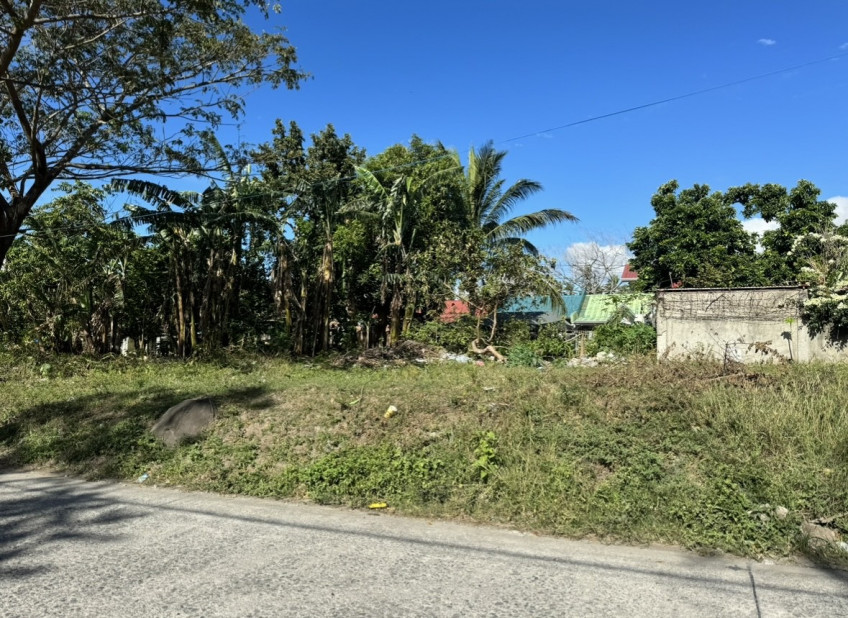 For Sale 120 SQM Residential Lot In Novaliches, Quezon City