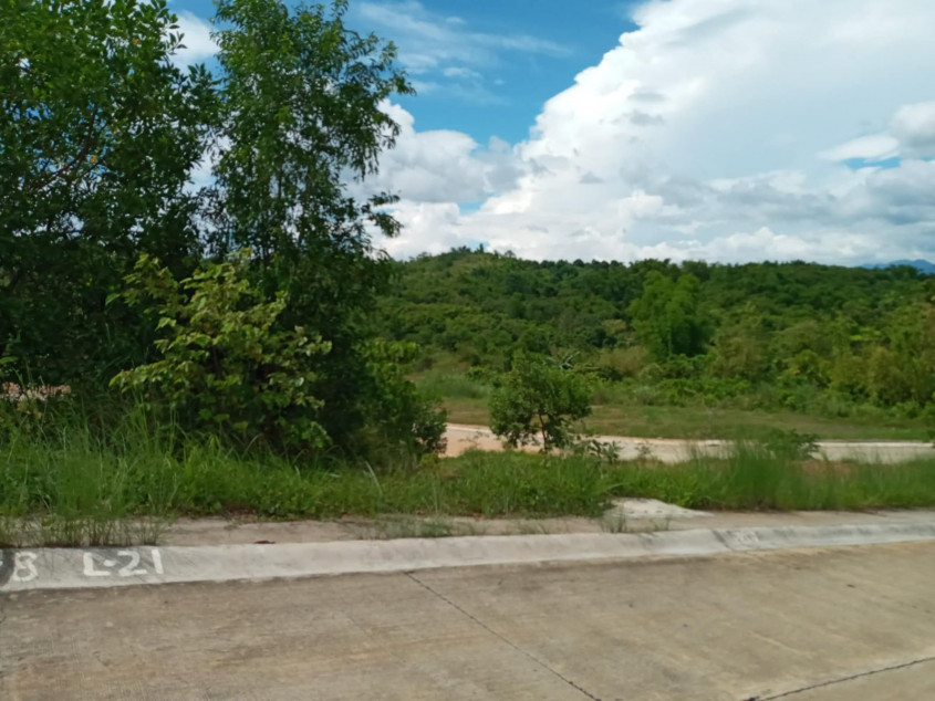 Prime 217 SQM Lot In Timberland Heights, San Mateo, Rizal