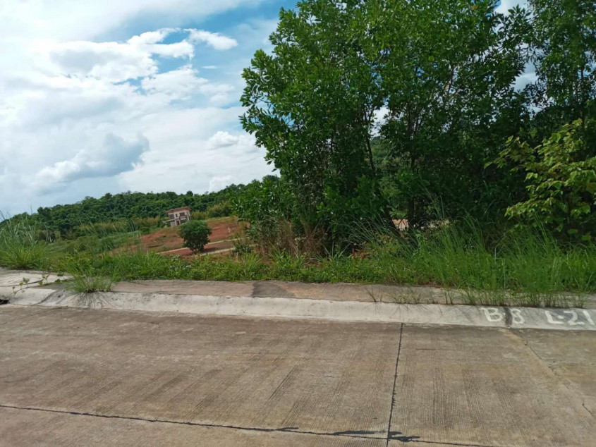 Prime 217 SQM Lot In Timberland Heights, San Mateo, Rizal