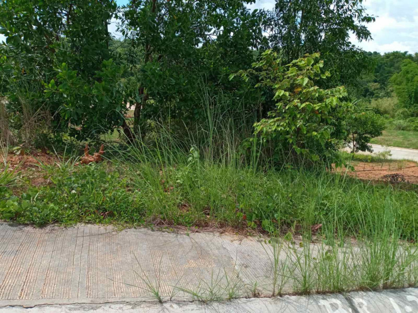Prime 217 SQM Lot In Timberland Heights, San Mateo, Rizal
