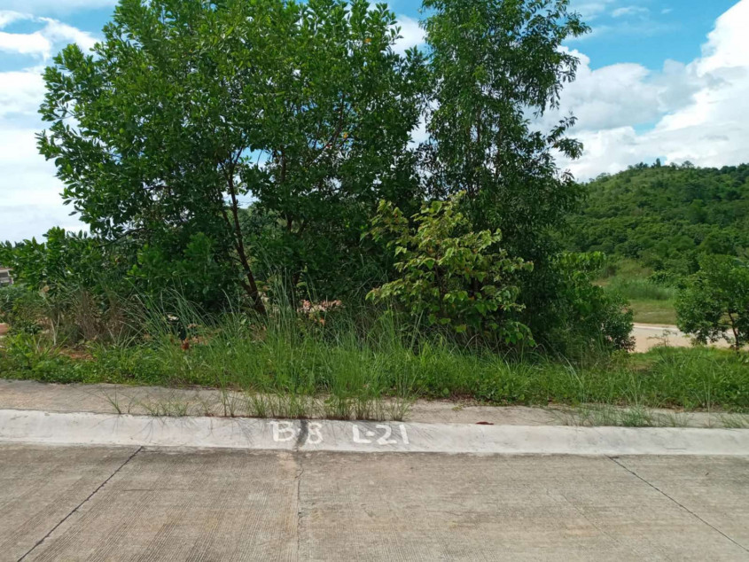 Prime 217 SQM Lot In Timberland Heights, San Mateo, Rizal