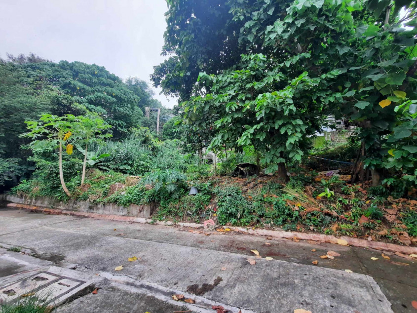 House And Lot In Spring Heights II, Filinvest 2, Quezon City