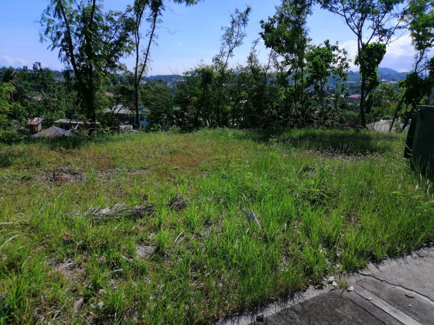 695 SQM Residential Lot In Pristina North Bacayan Cebu City