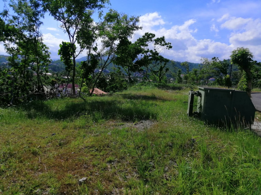 695 SQM Residential Lot In Pristina North Bacayan Cebu City