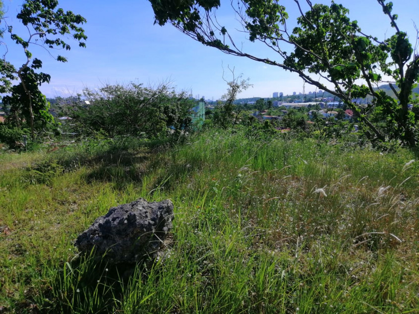 695 SQM Residential Lot In Pristina North Bacayan Cebu City