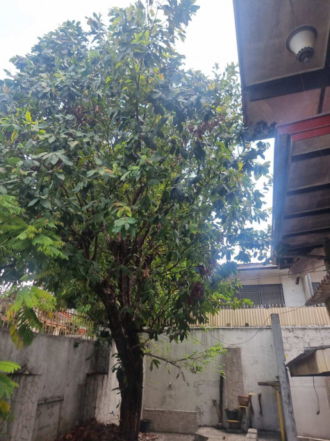 Residential Lot With Dated House In San Antonio Village Makati City