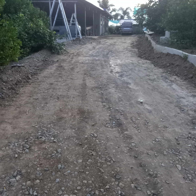 Kalamansi Farm Lot Rush Sale At Camiling, Tarlac