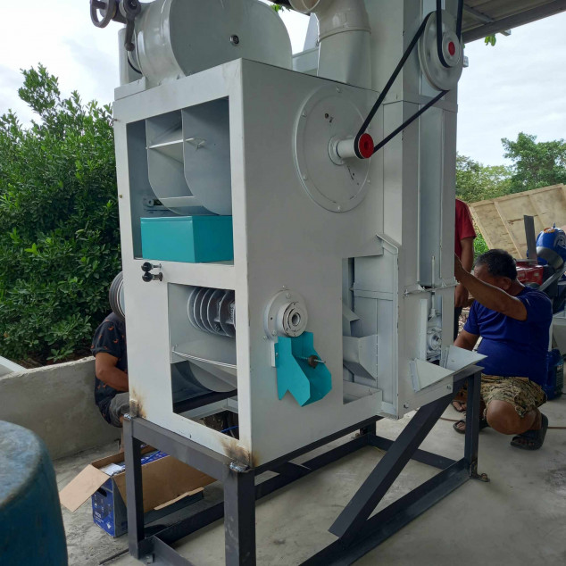 Kalamansi Farm Lot Rush Sale At Camiling, Tarlac